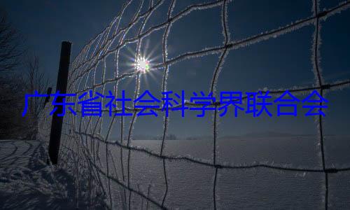 广东省社会科学界联合席余鸿纯被查专职副主会党组成员