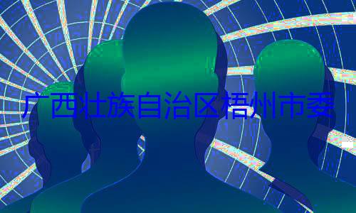 广西壮族自被查委副书记治区梧州市市长李振品